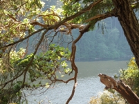 Secret Lakes of Victoria, BC