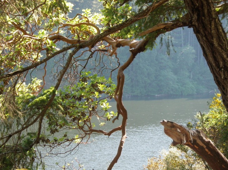 Matheson Lake